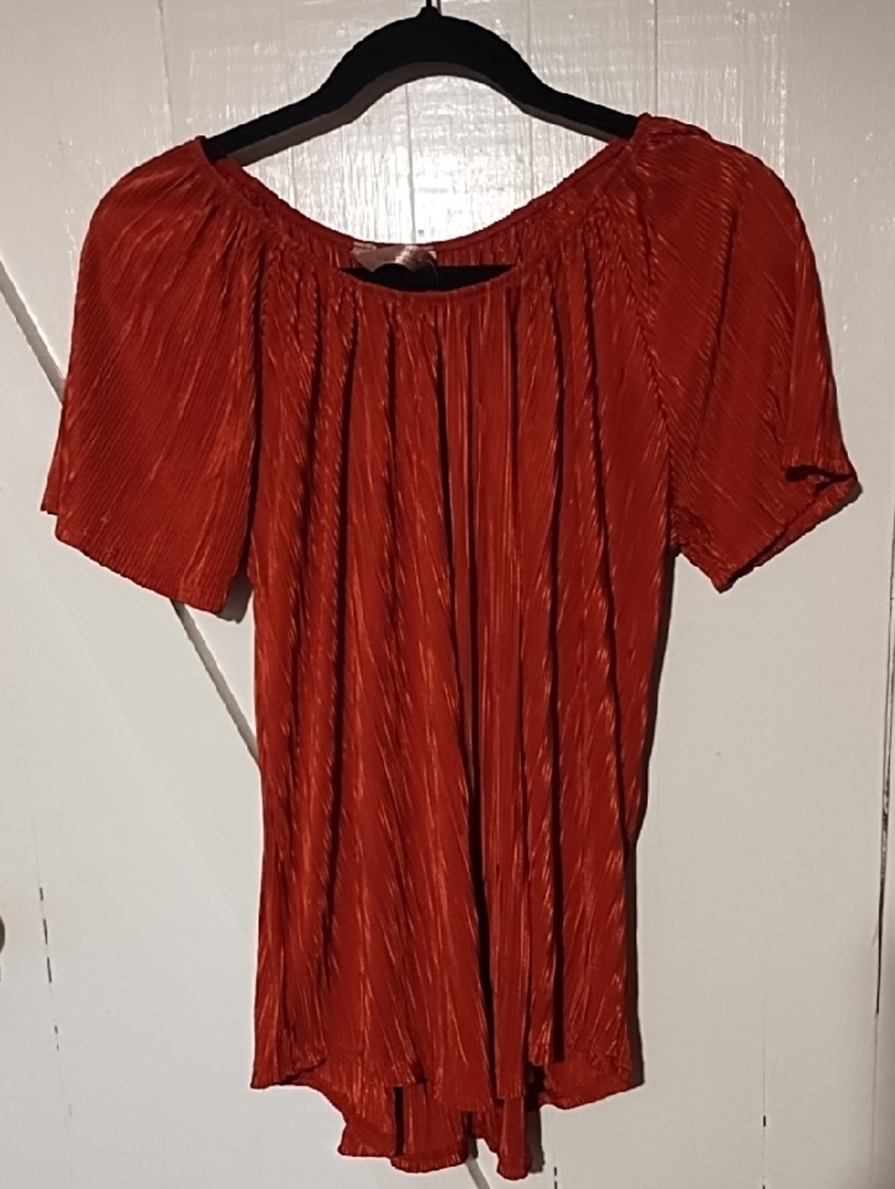 Pleated Short-Sleeve Blouse in Burnt Orange Medium NWOT.